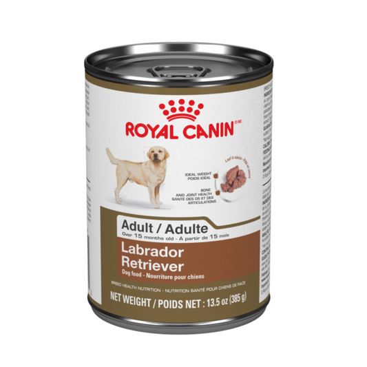 Labrador Retriever Royal Canin