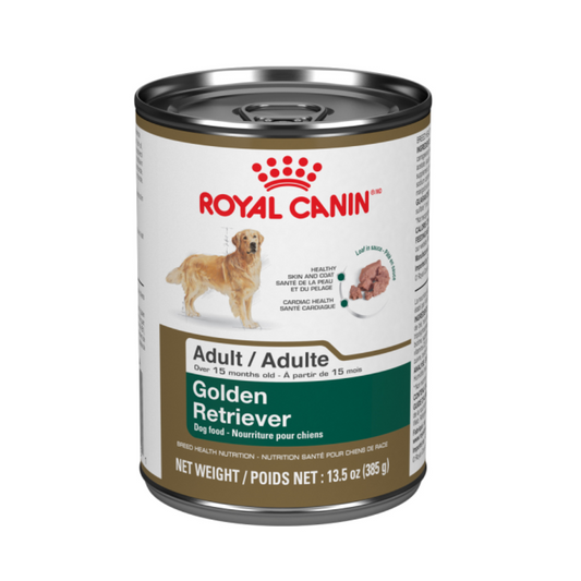 Golden Retriever Royal Canin