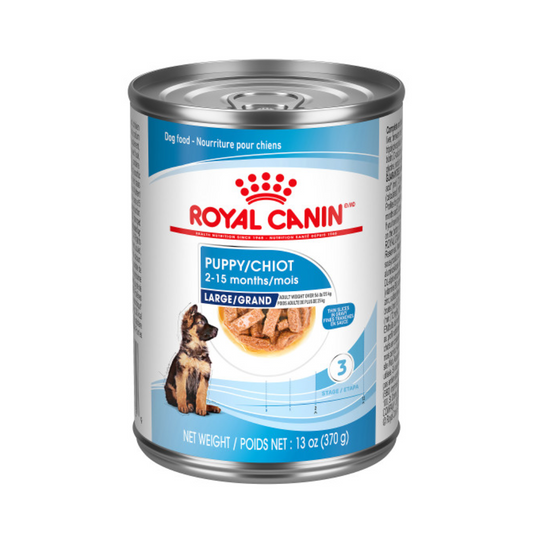 Puppy Large Chunks in Gravy Royal Canin