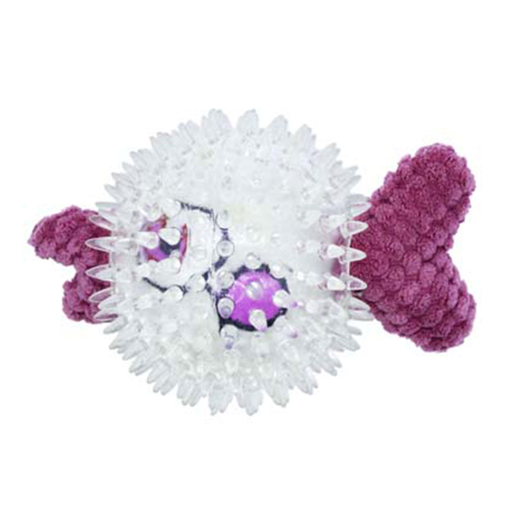 Purple Fish
