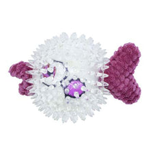 Purple Fish