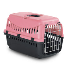 Gipsy Carrier Coral