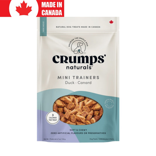Mini Trainers Duck Crumps