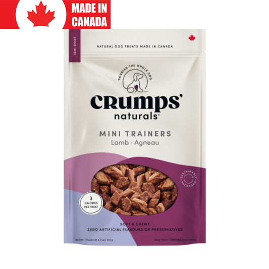 Mini Trainers Lamb Crumps