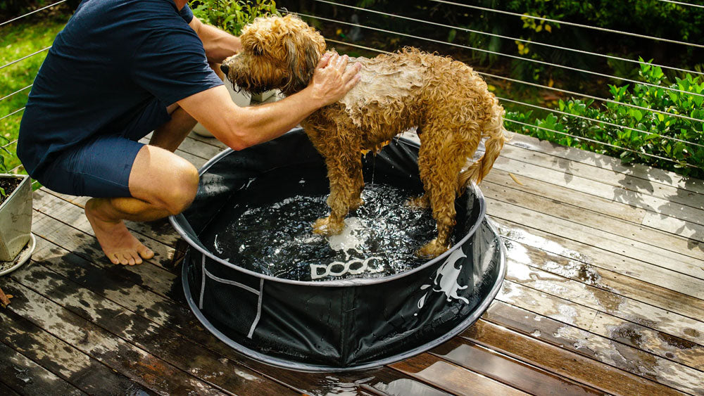 DOOG Pop-Up Dog Pool LARGE