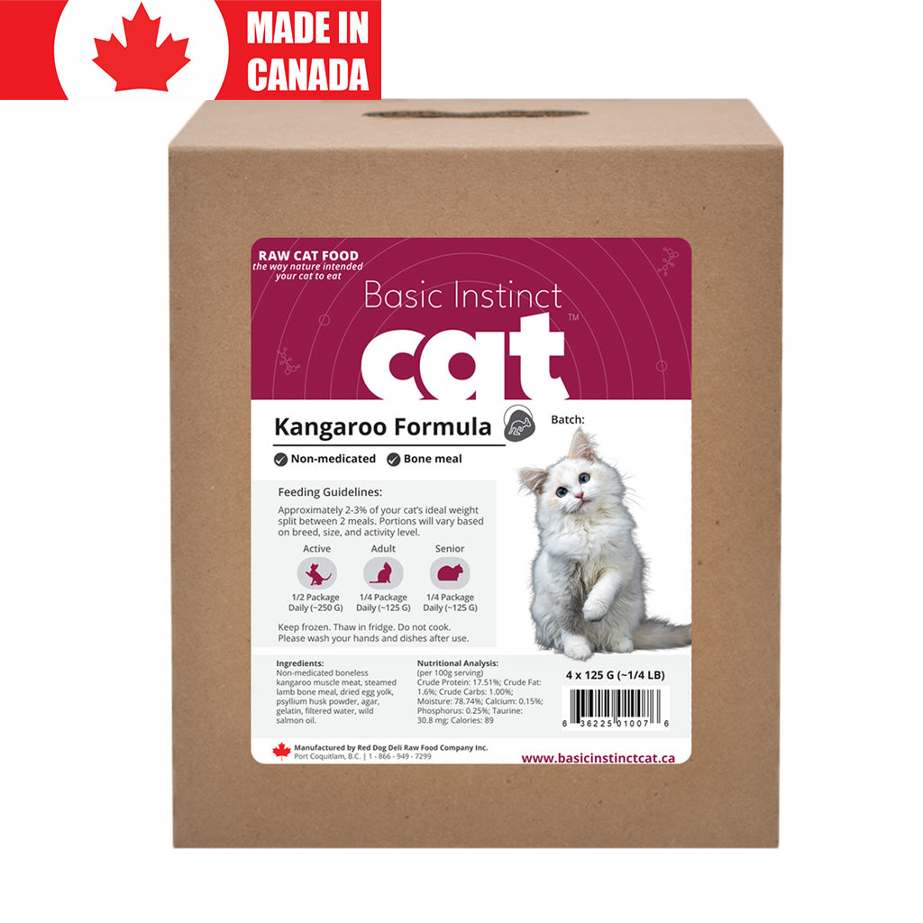 Kangaroo for Cats
