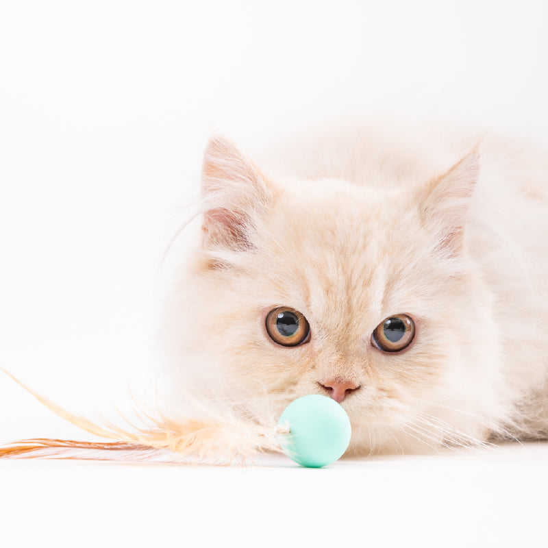 Cat Toy - Bouncy Balls (3 PCS) URBAN PAW PETS