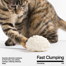 Pidan Cassava Cat Litter – görsel 2