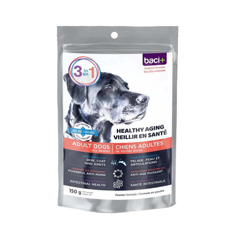 Baci+ - 3 in 1 dog URBAN PAW PETS