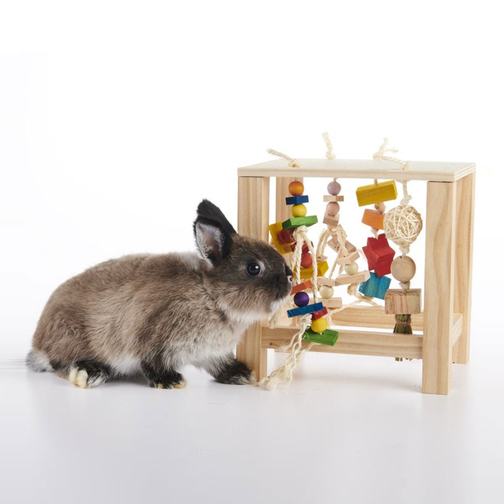 Enriched Play Table Oxbow