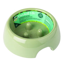 Forage Bowl Small Oxbow