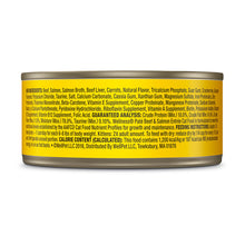Pâté Beef & Salmon Wellness