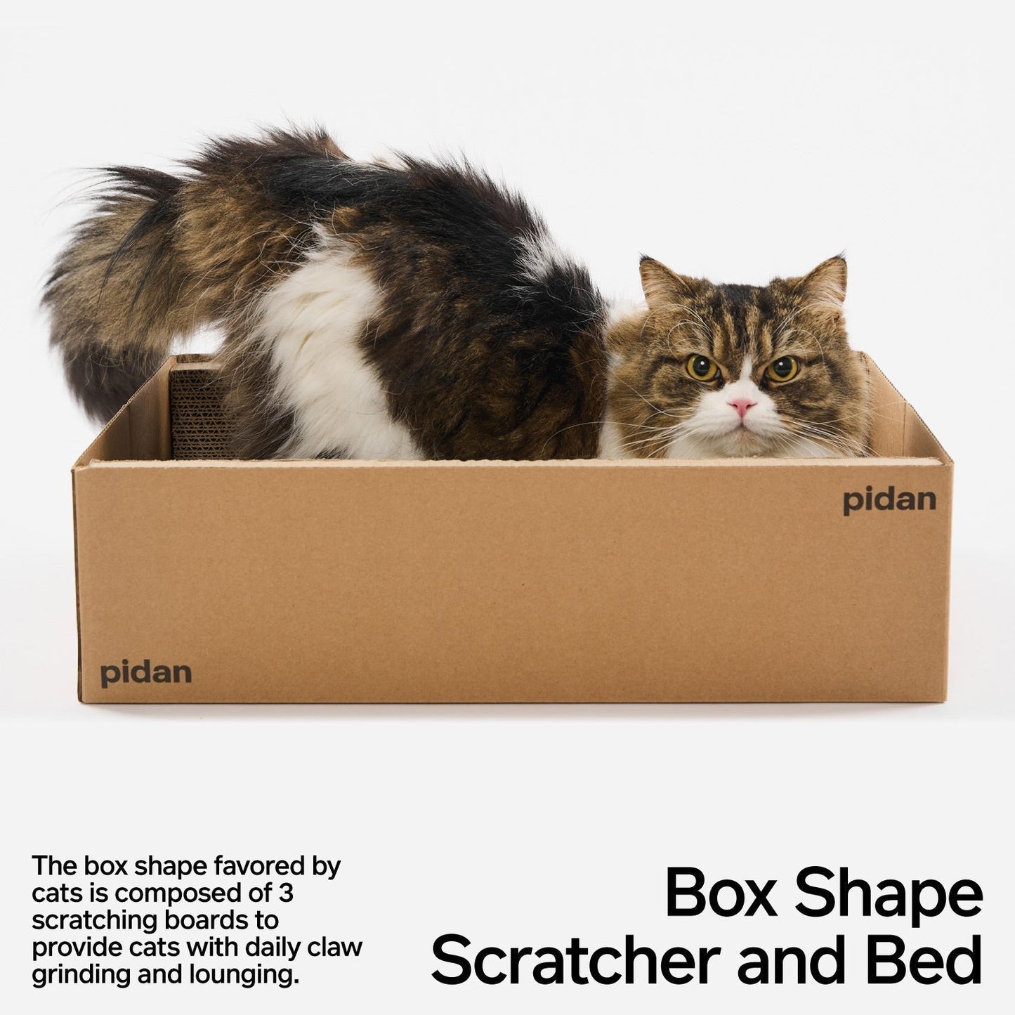 Pidan Cat Scratcher Board – Box Style URBAN PAW PETS