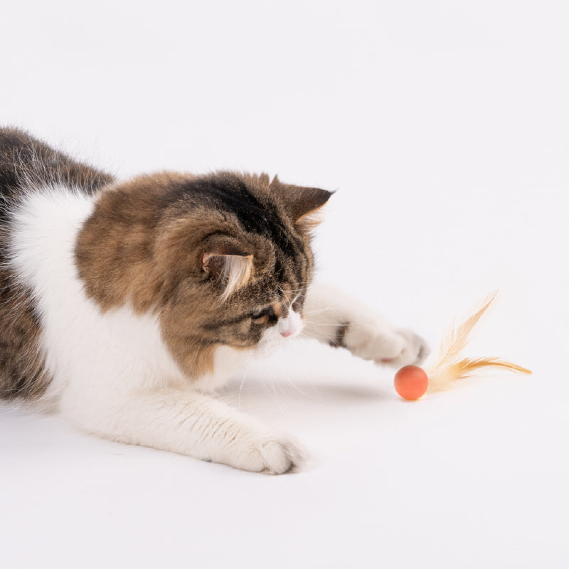 Cat Toy - Bouncy Balls (3 PCS) URBAN PAW PETS