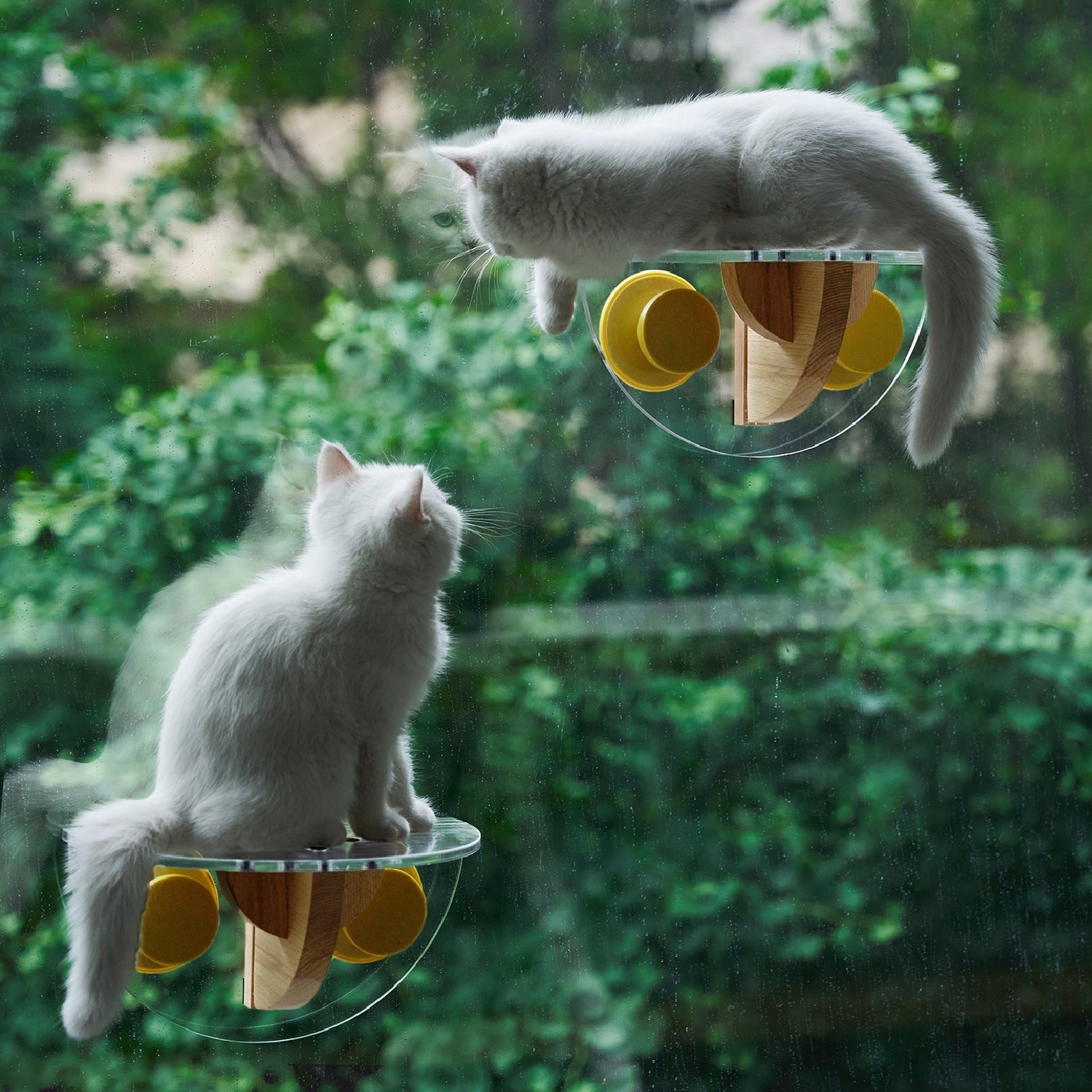 Cat Window Perch - Sunbathing Time pidan