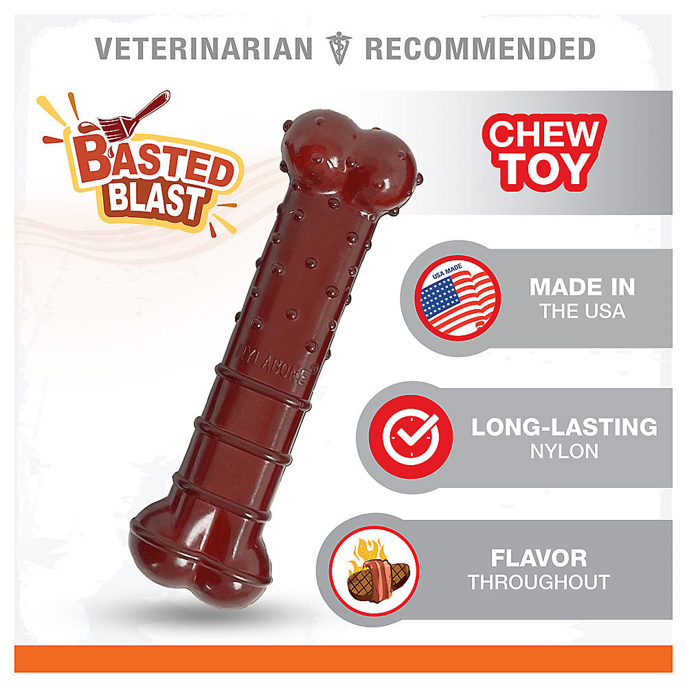 Nylabone® Power Chew Basted Blast Dog Toy - Bacon & Steak Flavor