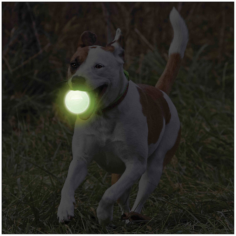 Nerf Dog™ Glow Ball Dog Toy - 2 Pack