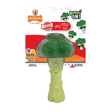 Nylabone® Power Chew Broccoli "Brocc' On!" Dog Toy - Bacon & Cheese Flavor URBAN PAW
