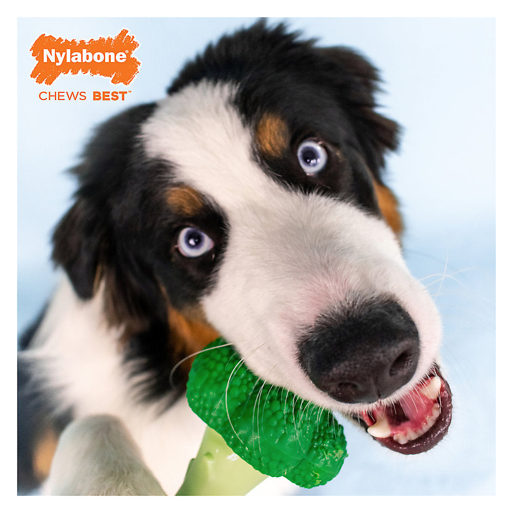 Nylabone® Power Chew Broccoli "Brocc' On!" Dog Toy - Bacon & Cheese Flavor