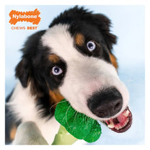 Nylabone® Power Chew Broccoli "Brocc' On!" Dog Toy - Bacon & Cheese Flavor URBAN PAW
