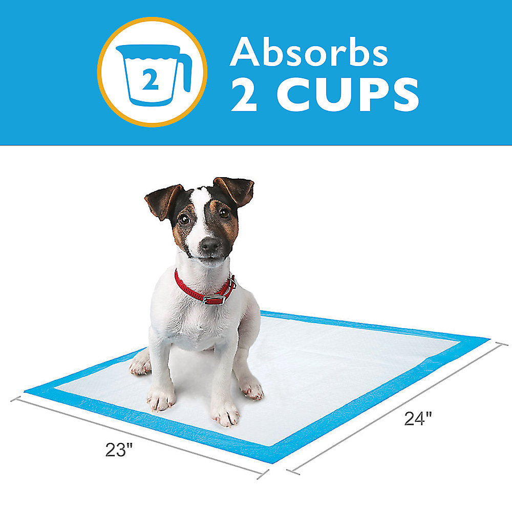 Great Choice® Dog Pads - 23"L x 24"W