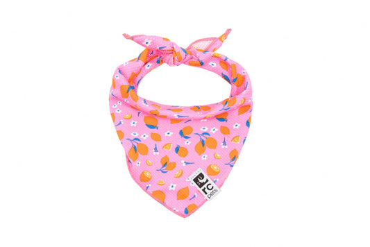 Zephyr Cooling Bandana URBAN PAW PETS
