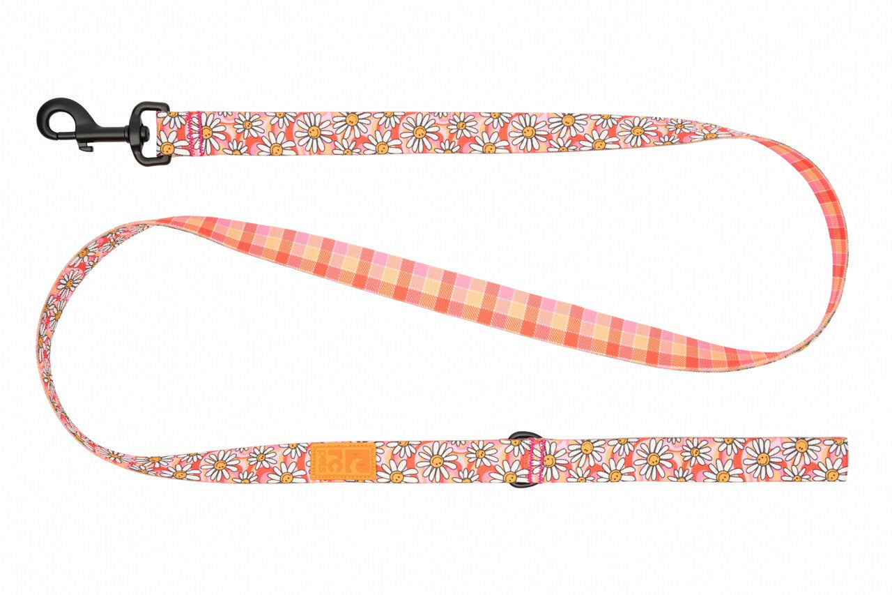 Eco Leash URBAN PAW PETS