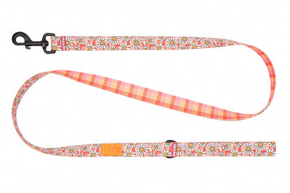 Eco Leash URBAN PAW PETS