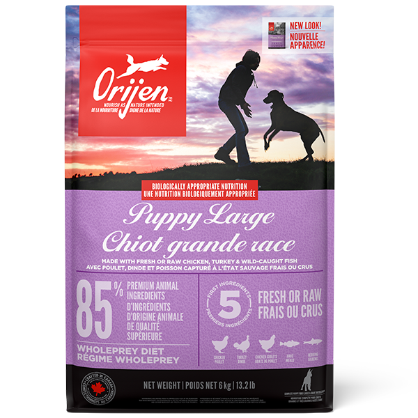 Grain Free Puppy Large Breed Orijen