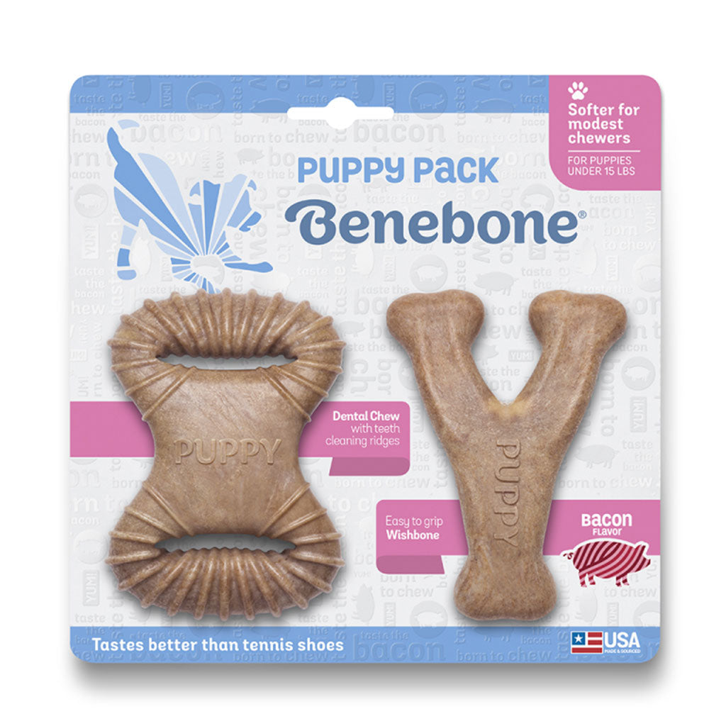 Puppy Dental/Wishb Bacon