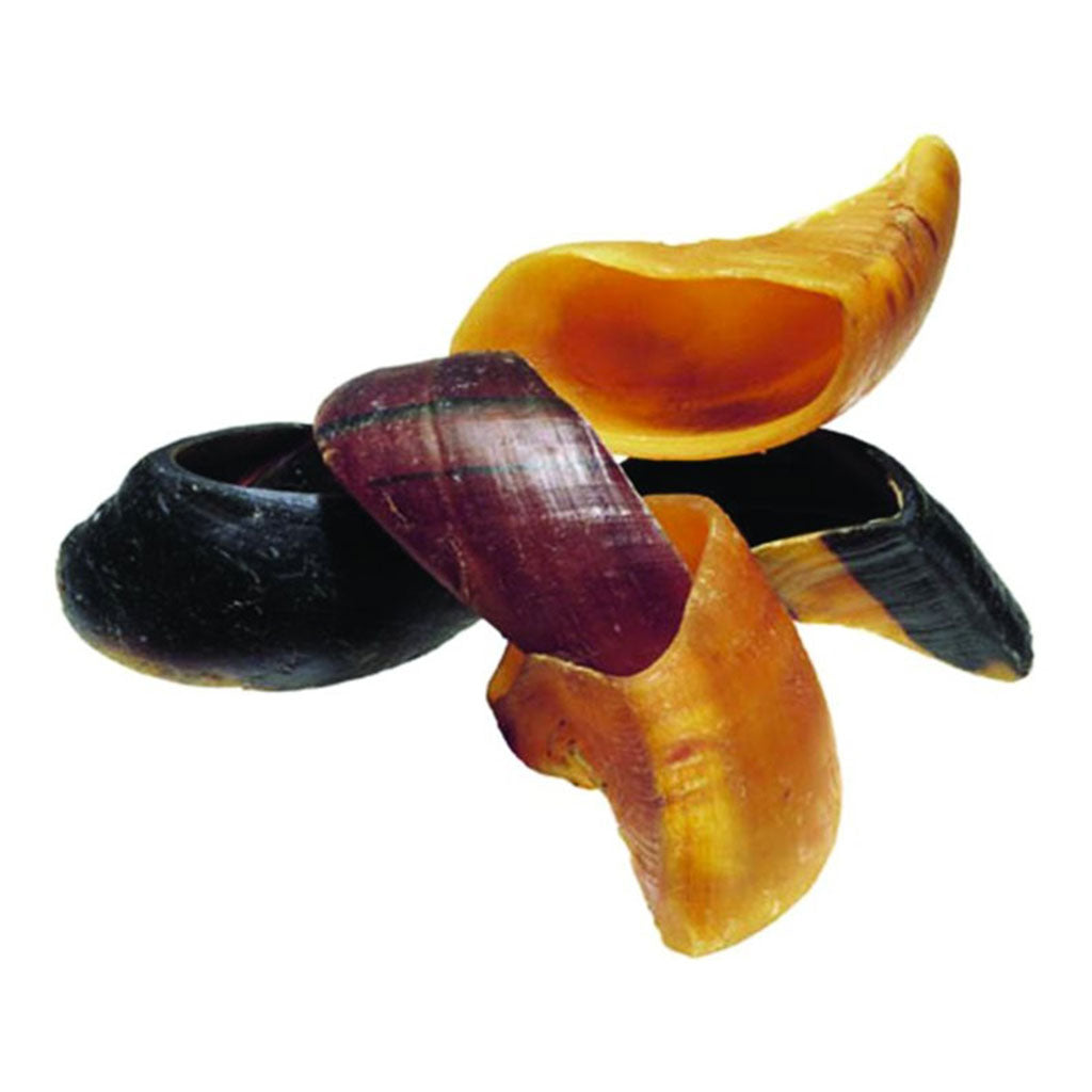 Cow Hooves RedBarn