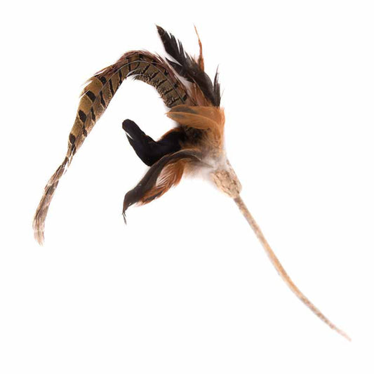 Natural Cat Toys - Silver Vine - Teaser - Feather - Phesant - Long - 40cm