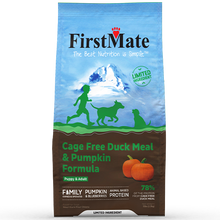 First Mate Duck & Pumpkin – görsel 2