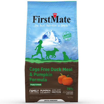 First Mate Duck & Pumpkin – görsel 2