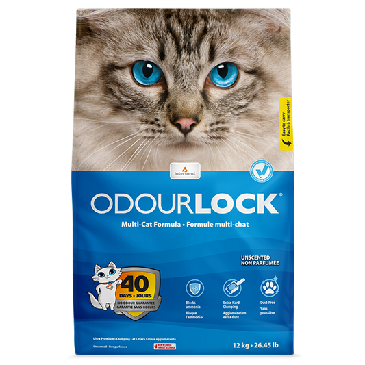 Intersand Cat Litter Odour Lock Unscented 13.2 lb – görsel 2