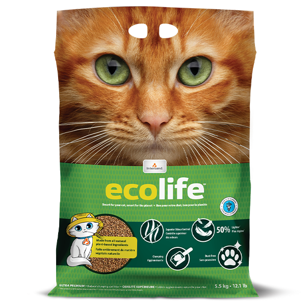 Intersand Cat Litter Eco life 5.5 kg