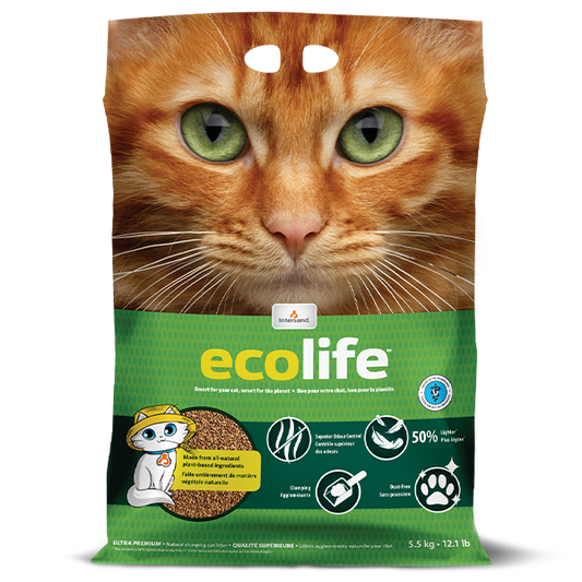 Intersand Cat Litter Eco life 5.5 kg