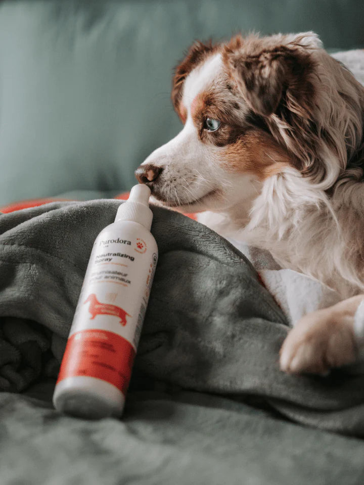 PURODORA Pet Odor Neutralizer for Sensitive Skin 250ml URBAN PAW PETS