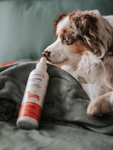 PURODORA Pet Odor Neutralizer for Sensitive Skin 250ml URBAN PAW PETS