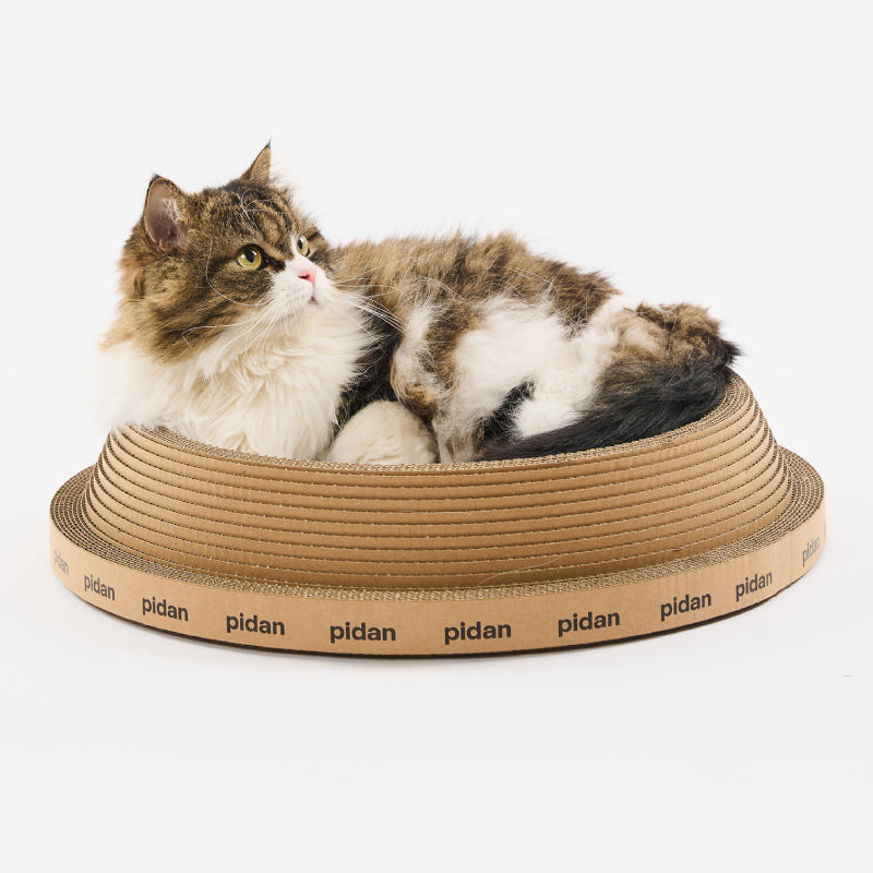 Pidan Cat Scratcher Board – Volcano Style URBAN PAW PETS