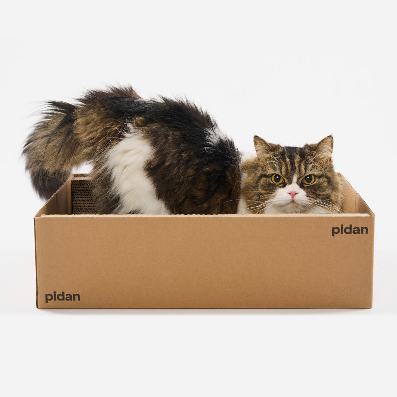 Pidan Cat Scratcher Board – Box Style URBAN PAW PETS