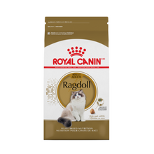 Ragdoll Royal Canin