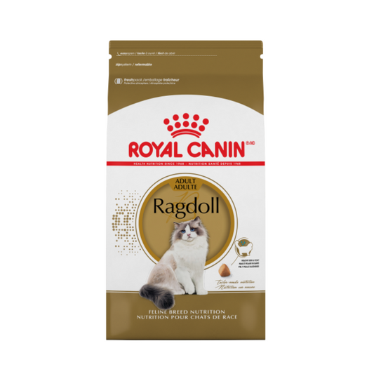 Ragdoll Royal Canin