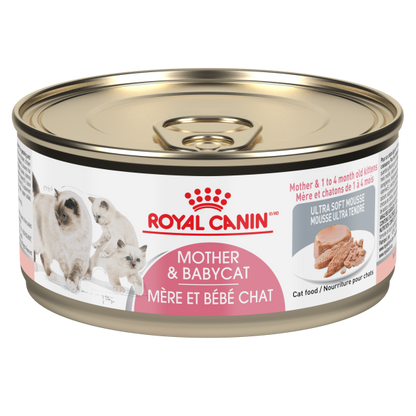 Mother & Babycat Mousseg Royal Canin