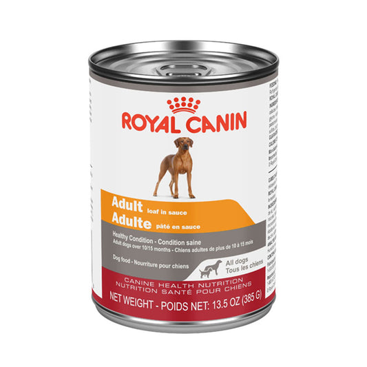 Adult Royal Canin