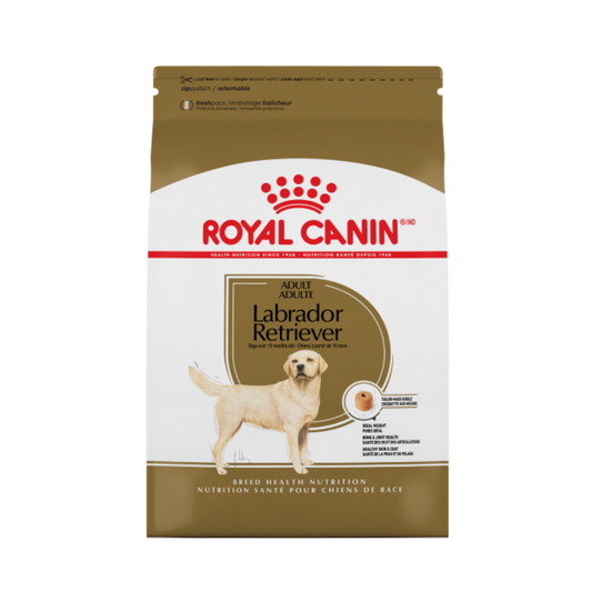 Labrador Retriever Adult Royal Canin