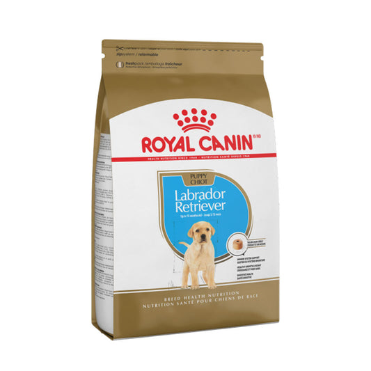 Labrador Retriever Puppy Royal Canin