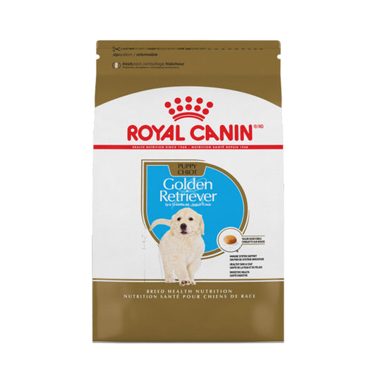 Golden Retriever Puppy Royal Canin
