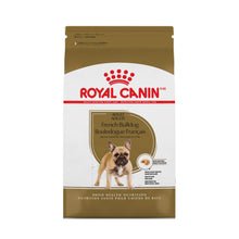 French Bulldog Adult Royal Canin