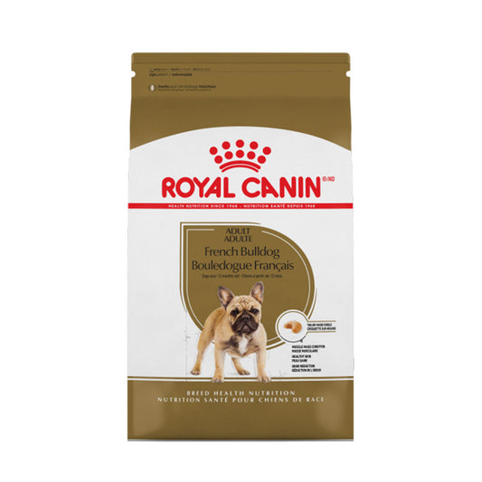 French Bulldog Adult Royal Canin